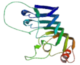 Carboxypeptidase N2 (CPN2)