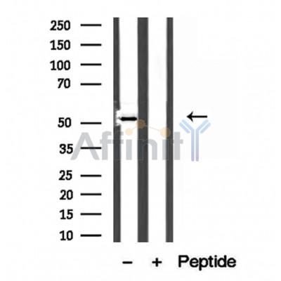 Валидация Affinity DF12210 - 6474