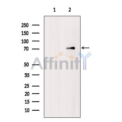 Валидация Affinity DF8716 - 20718