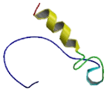 Lysophosphatidic Acid Receptor 4 (LPAR4) Lysophosphatidic Acid Receptor 4 (LPAR4)