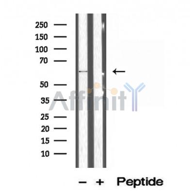Валидация Affinity DF12219 - 6496
