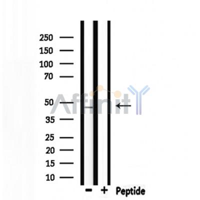 Валидация Affinity DF7603 - 19376