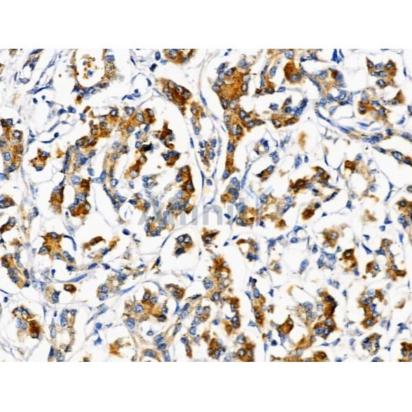 Валидация Affinity DF3641 - 14621