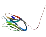Natural Cytotoxicity Triggering Receptor 3 (NCR3) Natural Cytotoxicity Triggering Receptor 3 (NCR3)