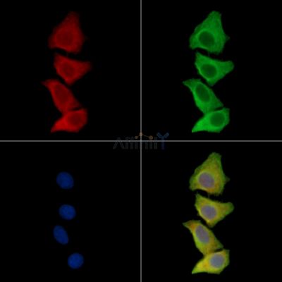 Валидация Affinity DF15612 - 12040