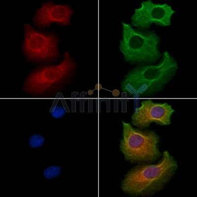 Валидация Affinity DF13100 - 7991