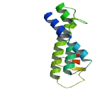 Olfactory Receptor 1B1 (OR1B1) Olfactory Receptor 1B1 (OR1B1)