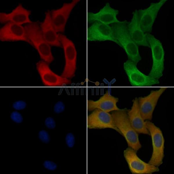 Валидация Affinity DF4840 - 16608