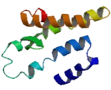 Neuropeptide Y Receptor Y5 (NPY5R) Neuropeptide Y Receptor Y5 (NPY5R)