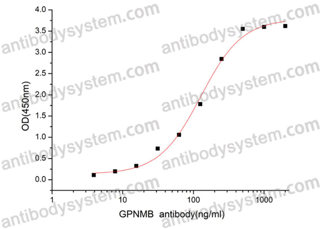 Валидация активности AntibodySystem AHG93101