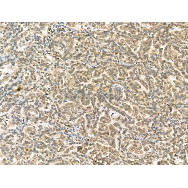 Валидация Affinity DF13295 - 8427