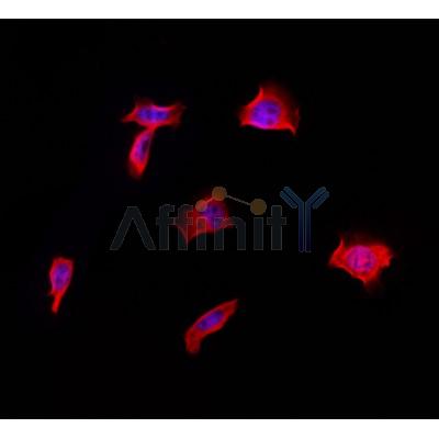 Валидация Affinity DF8644 - 20598