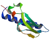 Gastric Inhibitory Polypeptide Receptor (GIPR) Gastric Inhibitory Polypeptide Receptor (GIPR)
