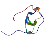 Chemokine C-C-Motif Ligand 1 (CCL1) Chemokine C-C-Motif Ligand 1 (CCL1)