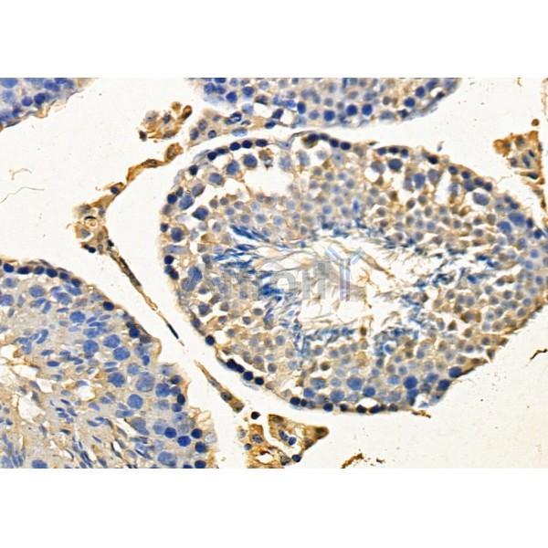 Валидация Affinity DF8264 - 20105