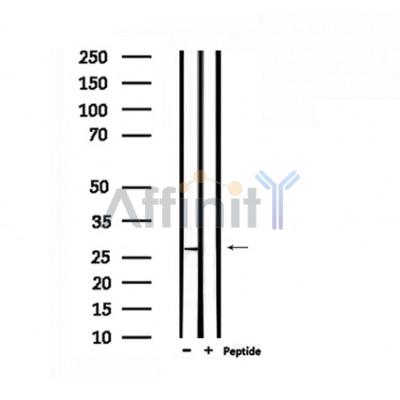 Валидация Affinity DF6346 - 17687