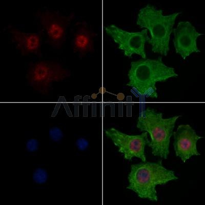 Валидация Affinity AF7844 - 4577