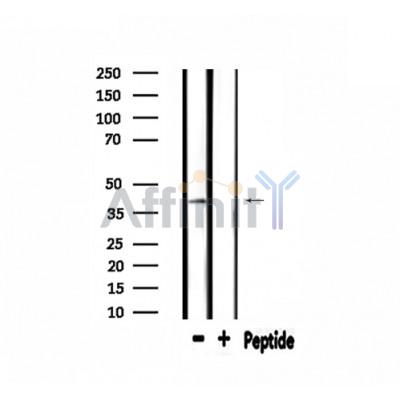 Валидация Affinity DF3721 - 14775