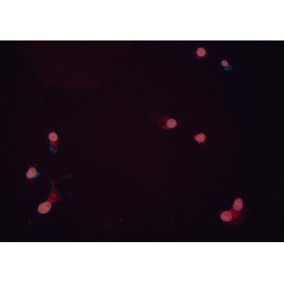 Валидация Affinity DF6141 - 17373