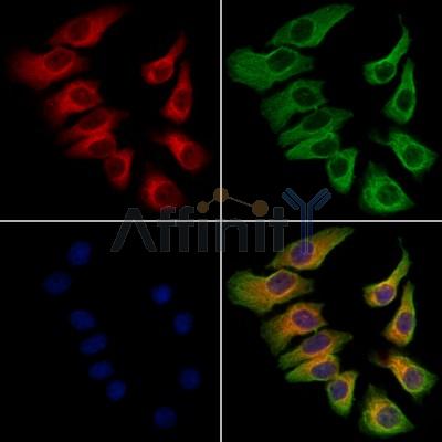 Валидация Affinity DF12288 - 6646