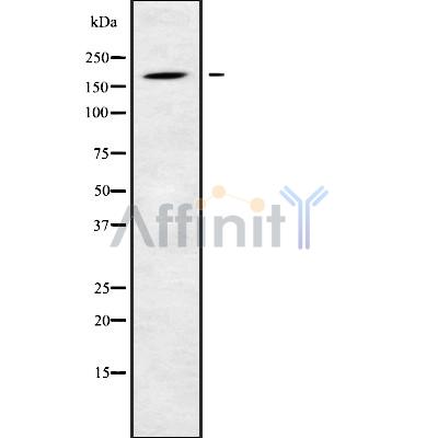 Валидация Affinity DF10191 - 5741