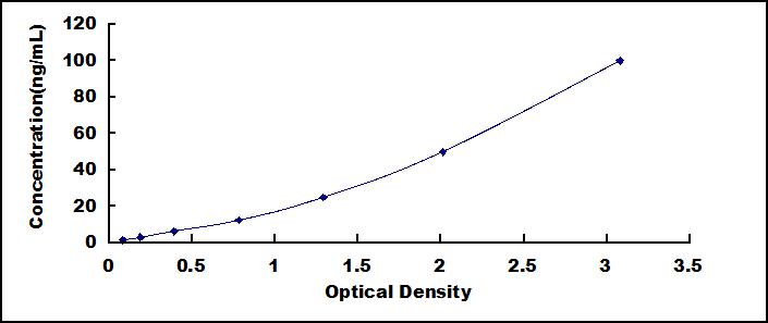 33854