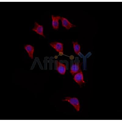 Валидация Affinity DF12037 - 6073