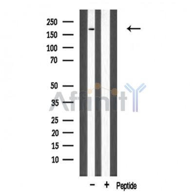 Валидация Affinity DF3622 - 14594