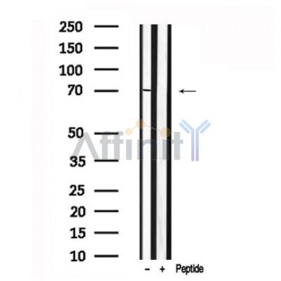 Валидация Affinity AF7618 - 4289