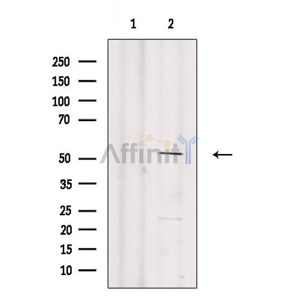 Валидация Affinity AF6789 - 4031