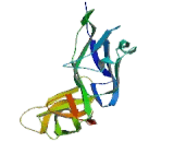 Leukocyte Immunoglobulin Like Receptor Subfamily B, Member 1 (LILRB1) Leukocyte Immunoglobulin Like Receptor Subfamily B, Member 1 (LILRB1)