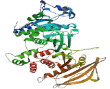Protein Tyrosine Phosphatase Receptor Type Z (PTPRZ) Protein Tyrosine Phosphatase Receptor Type Z (PTPRZ)