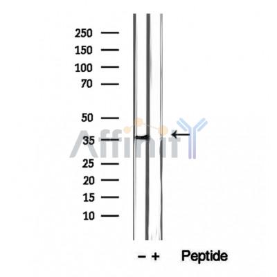 Валидация Affinity DF12413 - 6909