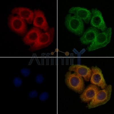 Валидация Affinity DF7473 - 19235