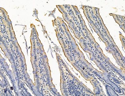 Валидация Affinity DF15482 - 11854