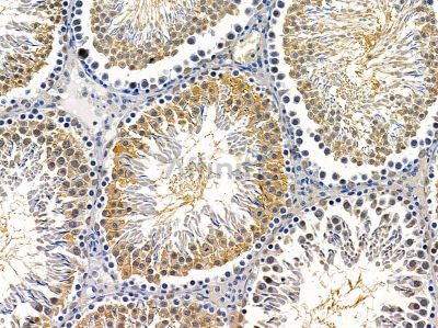 Валидация Affinity DF14640 - 10673