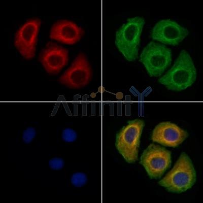 Валидация Affinity DF10202 - 5758