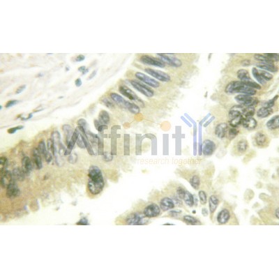 Валидация Affinity AF6348 - 3633