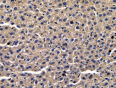 Валидация Affinity DF15625 - 12058