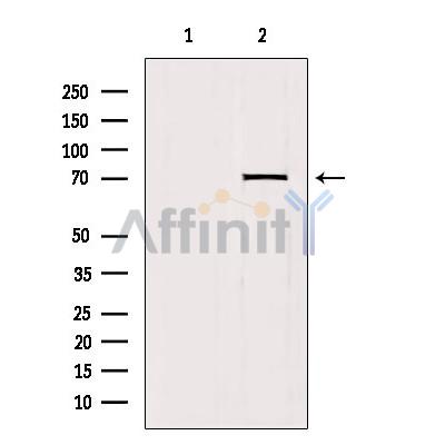 Валидация Affinity DF3084 - 13828