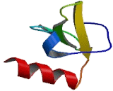 Secondary Lymphoid Tissue Chemokine (SLC) Secondary Lymphoid Tissue Chemokine (SLC)