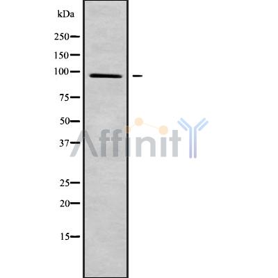 Валидация Affinity DF10186 - 5734