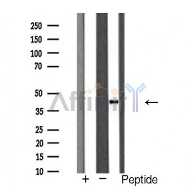 Валидация Affinity AF5191 - 2631