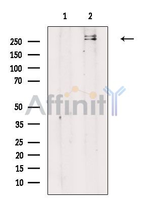 Валидация Affinity AF6602 - 3903