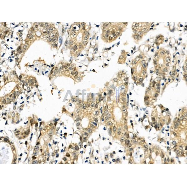 Валидация Affinity DF6161 - 17403