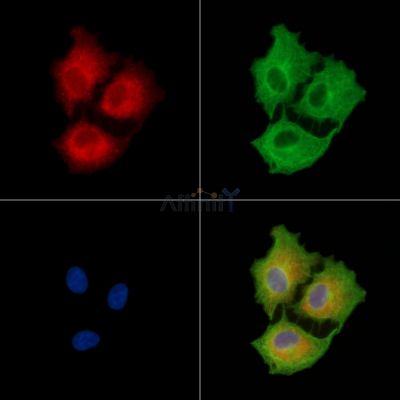 Валидация Affinity DF8834 - 20905