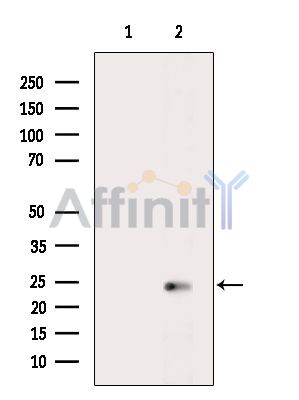 Валидация Affinity DF7741 - 19542