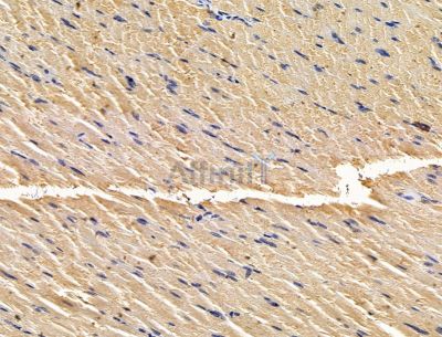 Валидация Affinity DF15407 - 11727