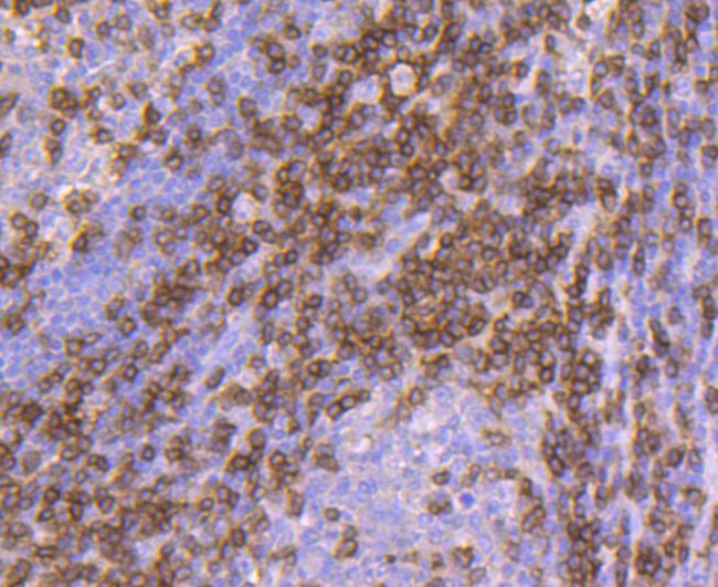 Валидация AssayVector ARM2556(4608)