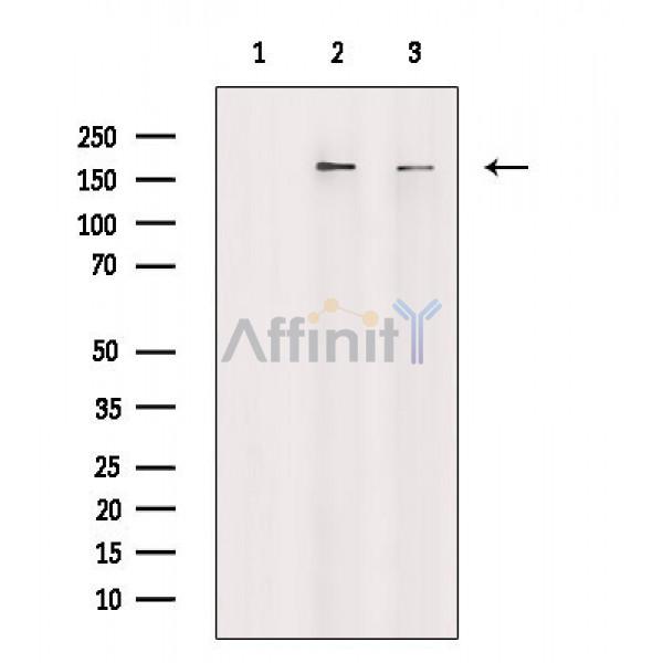 Валидация Affinity AF6728 - 3979